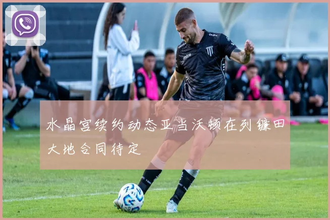 水晶宫续约动态亚当沃顿在列镰田大地合同待定